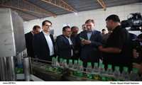 بازدید استاندار بوشهر از طرح‌های اقتصادی و آبزی‌پروری